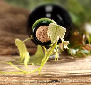 Wine Tours Croatia